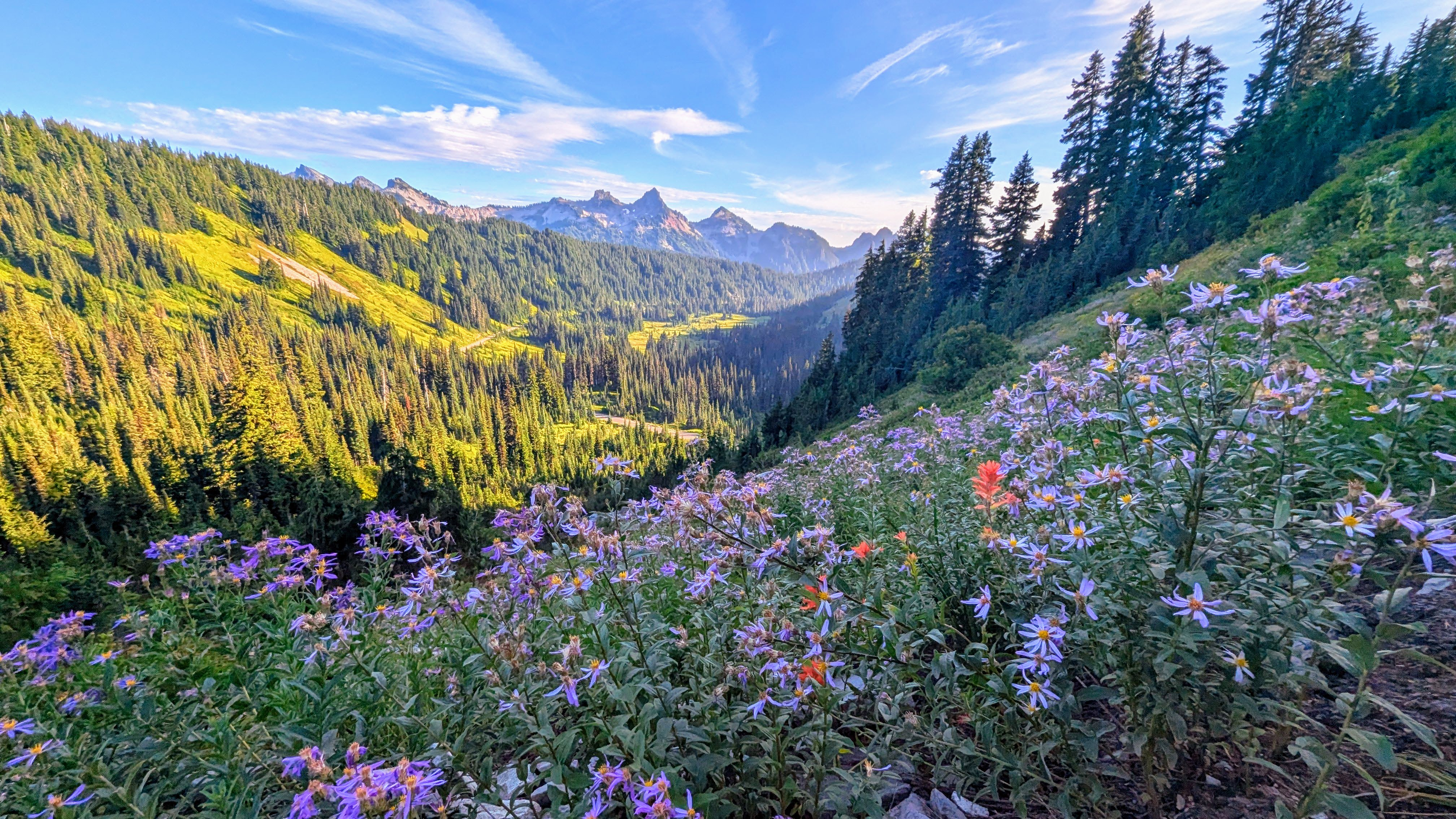 Mount Rainier National Park in August