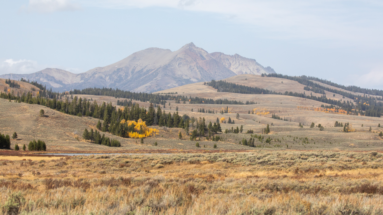 Yellowstone National Park