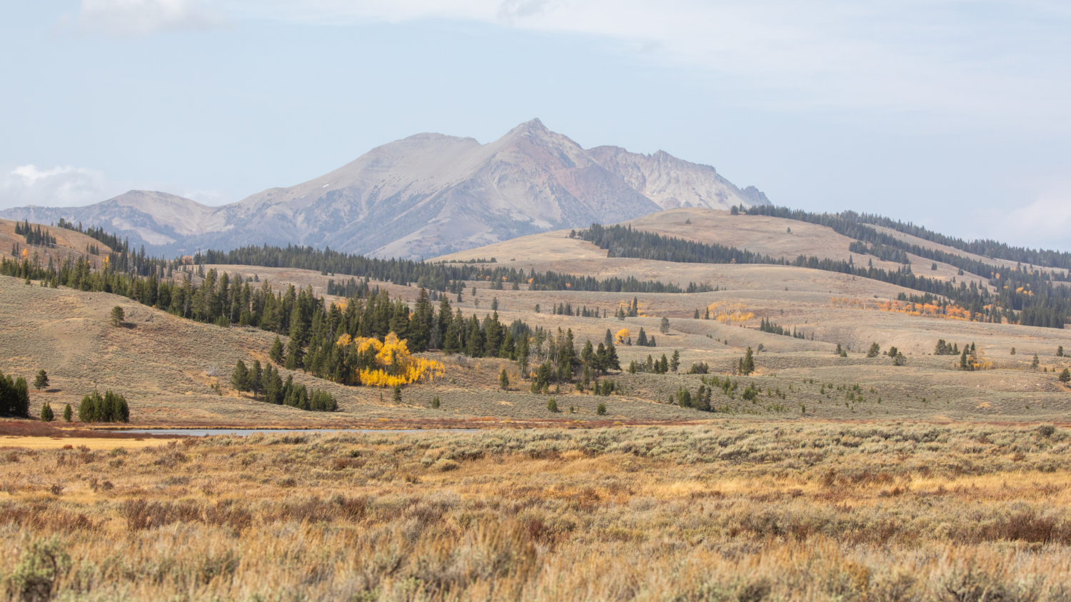 Yellowstone National Park